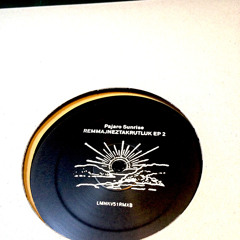 This Vision (Cottam Remix)  - Pajaro Sunrise