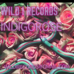 Bad Bitch IndigoRose