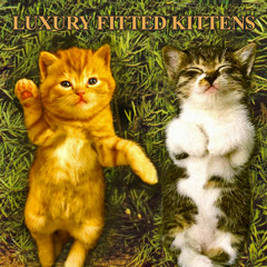 06 Elected (Alice Cooper Cover)