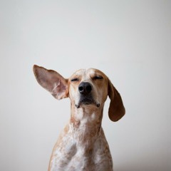 Caezi - Smoke Something