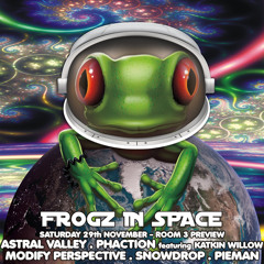 Frogz in Space 29/11/2014 ~ Room 4 - Liquid Drum & Bass / Chill Grooves