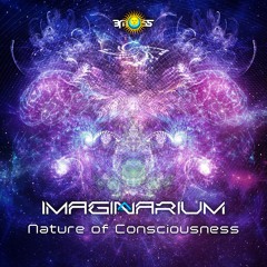 Imaginarium - Nature Of Consciousness EP Minimix
