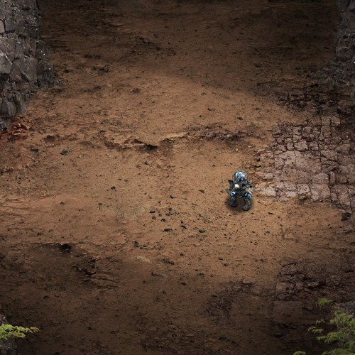 Bloom Memories - Rocky Mountains