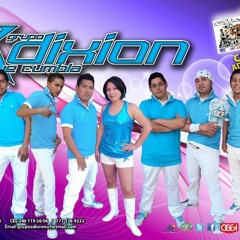 Dimelo Grupo Adixion Limpia