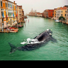 Deep Music IV