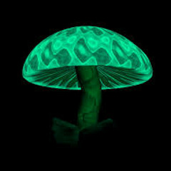 NELA MUSHROOMS - Beat Stair(Original Mix)