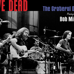 Interview with Grateful Dead photographer Bob Minkin