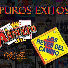Reyes Del Camino Y Arnulfo Jr Puros Exitos Mix 2014