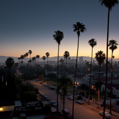 LA Noir