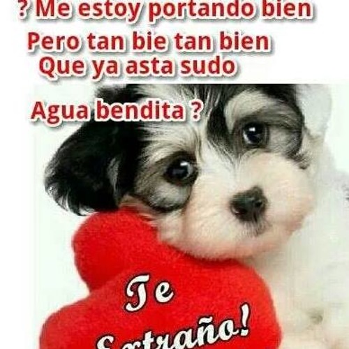 MARK EFREN SIN TI Version Bachata