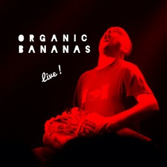 Organic Bananas