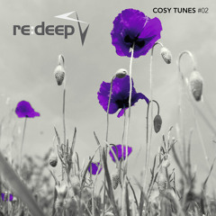 Cosy Tunes Podcast #2 [Free Download]