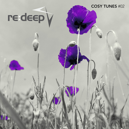 Cosy Tunes Podcast #2 [Free Download]