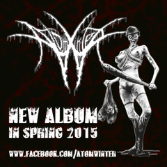 ATOMWINTER - Another Pain