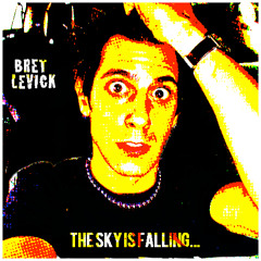 Bret Levick - The Sky Is Falling