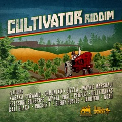 ROOTS & HARMONY BAND - CULTIVATOR VERSION