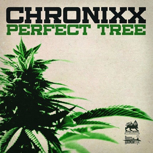 CHRONIXX - PERFECT TREE