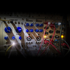 SaraVCF + PEG 01