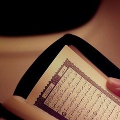 إِنَّ رَبّك هُوَ الْخَلَّاق الْعَلِيم - هزاع البلوشي