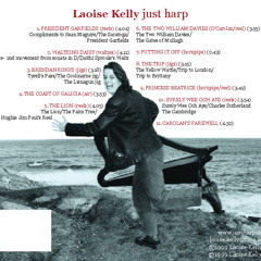 Brendan Ring's - Tyrrellspass/Coolinarne jig/Lisnagun jig