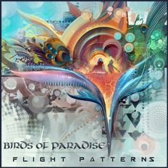 Birds Of Paradise - Ocean Minded (Koan Remix) Preview