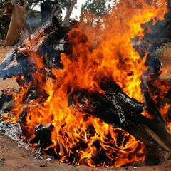 Live one.. good kinds hey.. at Around the fire place