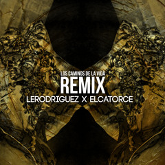 Le Rodriguez X El Catorce - Los Caminos De La Vida ( Remix )