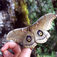 "You Are Light" acoustic live rough recording -Roxy Doll and Smizz Miza