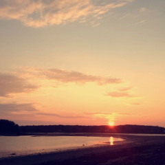 Let Her Go- Passenger (Cover By Willa Capper)