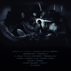 5 LA CALLE TE VA A ENCANTAR