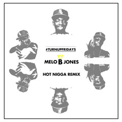 Hot Nigga Remix (Acapella Cover)