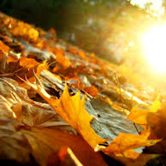 Def Jefferson - Falling Leaves Mix - Autumn 2014.MP3