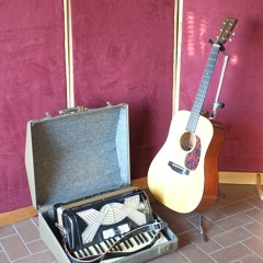 Mary Cunningham.  Martin D18GE and old Honer accordion.  BP4025 and Metric Halo ULN-2.