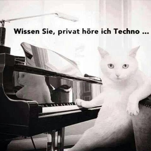 Wissen sie, Privat höre ich Techno!