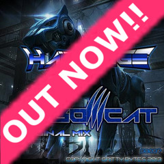 Hairitage - Robocat (Original Mix) Out Now!