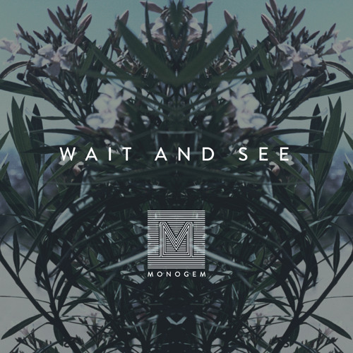 Monogem - Wait And See