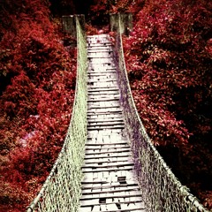 The Lord's My shepered Psalm 23. A tribute and a song to our dear cousin Anil who has left us to reach his eternal Home