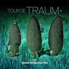 Chamaeleon (Original Mix) "Snipped" [TRAUM Schallplatten]