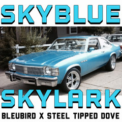 SKYBLUE SKYLARK  -prod by Steel Tipped Dove