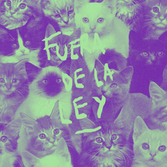 Fuera de la ley (Los Gatos)