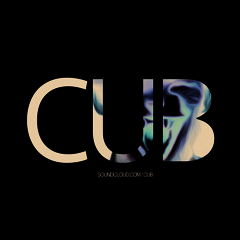 Shura - Touch (Unofficial Cubbmix)