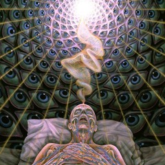 DMT ILLUSIONS