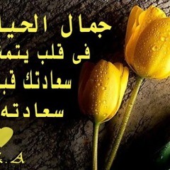 وحبيبة - غسان أبو خضرة