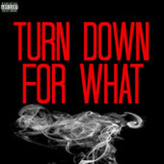 Dj Snake X Lil Jon - Turn Down For What (IlluminateBoy Remix)