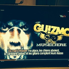 Guizmo - Muselière  3e Extrait  Nouvel Album Dans Ma Ruche Le 15 Décembre  Y&W