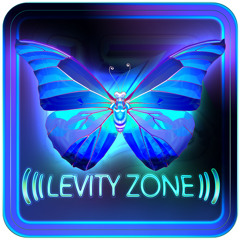 The Levity Zone Podcast