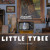 Artwork for Little Tybee - The Alchemist | Shaking Through
