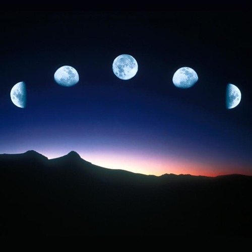 Moon (Live Edit)
