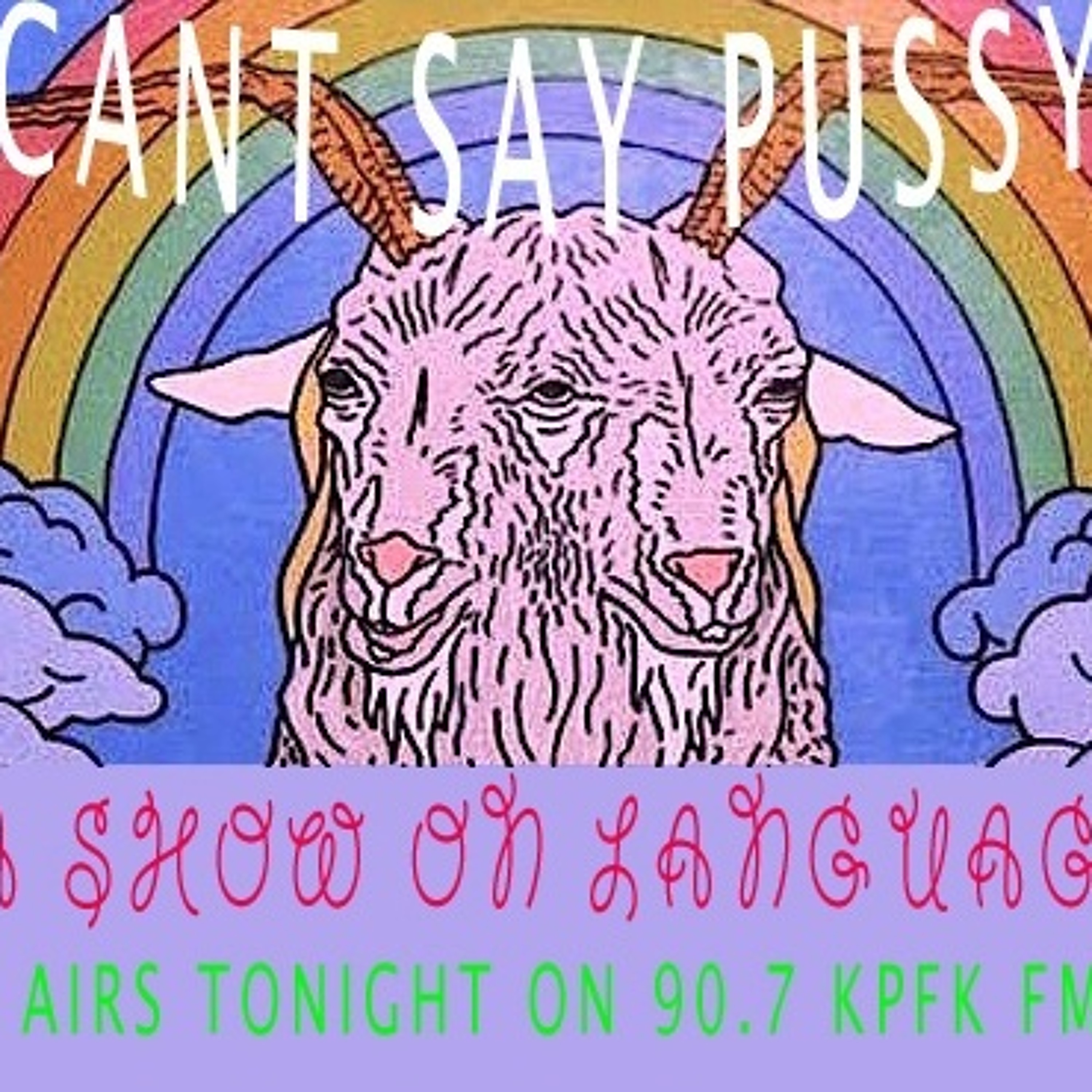 Cant Say Pussy?: A Show On Language episode artwork