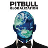 Pitbull-Time Of Our Lives feat. Ne - Yo)
